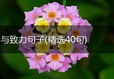 与致力句子(精选40句)