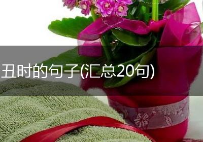 丑时的句子(汇总20句)