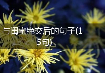 与闺蜜绝交后的句子(15句)