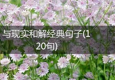 与现实和解经典句子(120句)