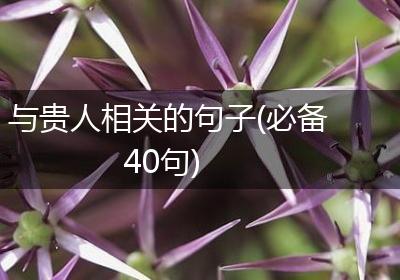 与贵人相关的句子(必备40句)
