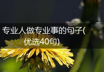 专业人做专业事的句子(优选40句)