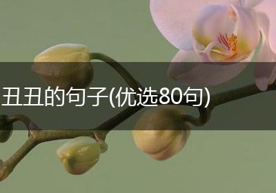 丑丑的句子(优选80句)