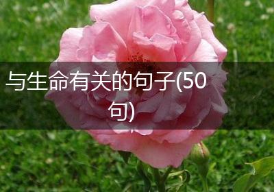 与生命有关的句子(50句)