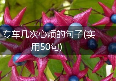 专车几次心烦的句子(实用50句)