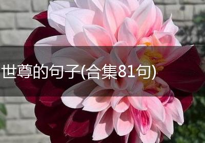 世尊的句子(合集81句)