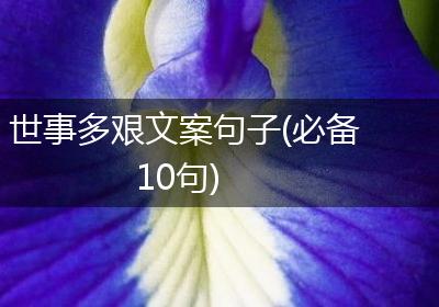 世事多艰文案句子(必备10句)
