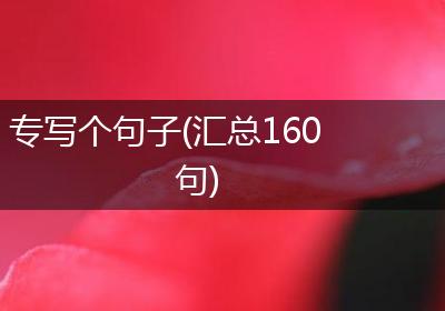 专写个句子(汇总160句)