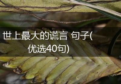 世上最大的谎言 句子(优选40句)
