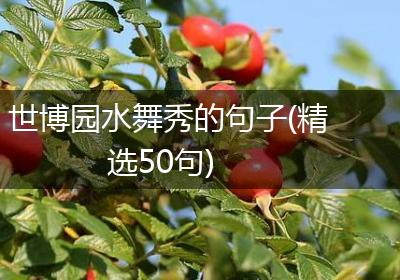 世博园水舞秀的句子(精选50句)