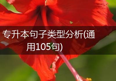 专升本句子类型分析(通用105句)