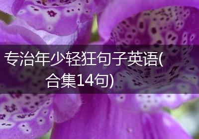 专治年少轻狂句子英语(合集14句)
