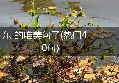 东 的唯美句子(热门40句)