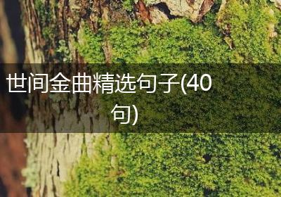 世间金曲精选句子(40句)