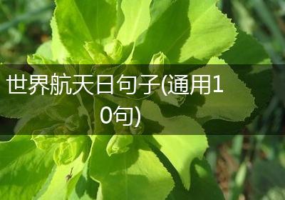 世界航天日句子(通用10句)