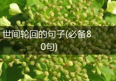 世间轮回的句子(必备80句)