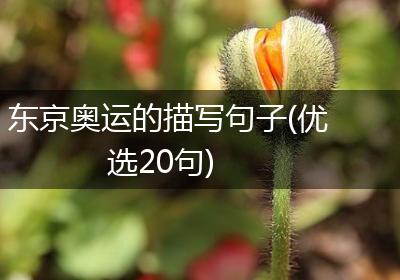 东京奥运的描写句子(优选20句)