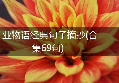 业物语经典句子摘抄(合集69句)