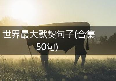 世界最大默契句子(合集50句)