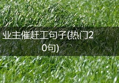 业主催赶工句子(热门20句)