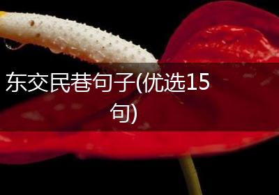 东交民巷句子(优选15句)