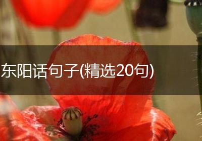 东阳话句子(精选20句)