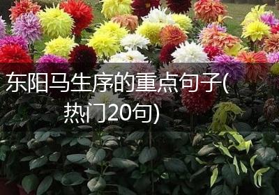 东阳马生序的重点句子(热门20句)