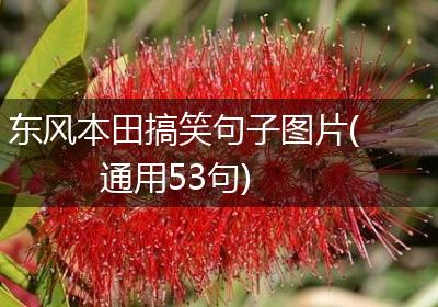 东风本田搞笑句子图片(通用53句)