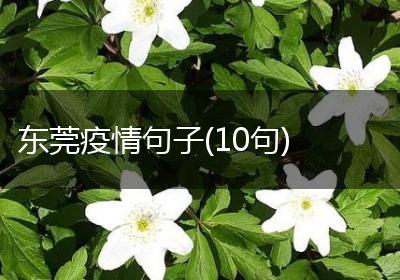 东莞疫情句子(10句)