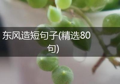 东风造短句子(精选80句)