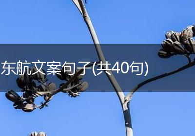东航文案句子(共40句)