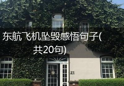 东航飞机坠毁感悟句子(共20句)