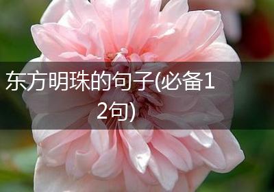 东方明珠的句子(必备12句)