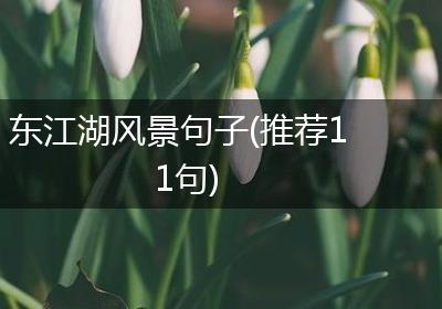 东江湖风景句子(推荐11句)