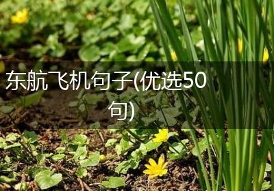东航飞机句子(优选50句)
