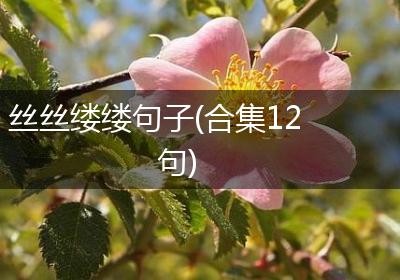 丝丝缕缕句子(合集12句)