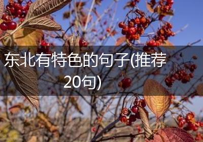 东北有特色的句子(推荐20句)