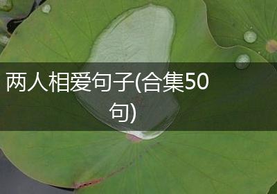 两人相爱句子(合集50句)