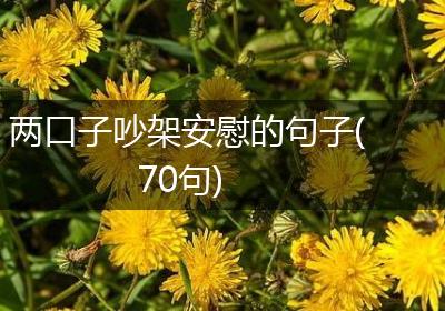 两口子吵架安慰的句子(70句)
