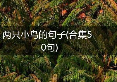 两只小鸟的句子(合集50句)