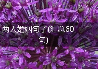 两人婚姻句子(汇总60句)