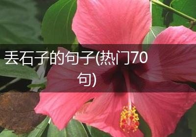 丢石子的句子(热门70句)