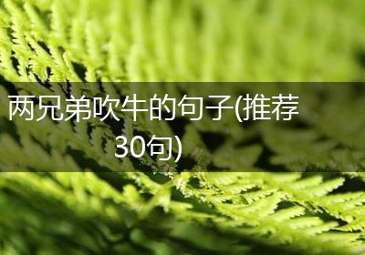 两兄弟吹牛的句子(推荐30句)
