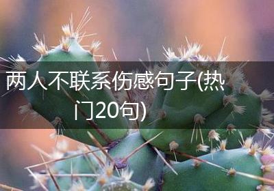 两人不联系伤感句子(热门20句)