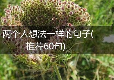 两个人想法一样的句子(推荐60句)