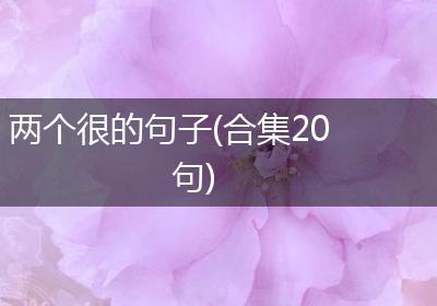 两个很的句子(合集20句)