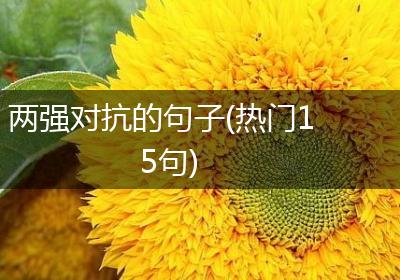 两强对抗的句子(热门15句)