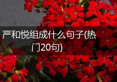 严和悦组成什么句子(热门20句)