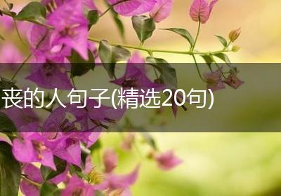 丧的人句子(精选20句)