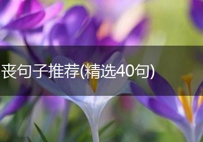 丧句子推荐(精选40句)